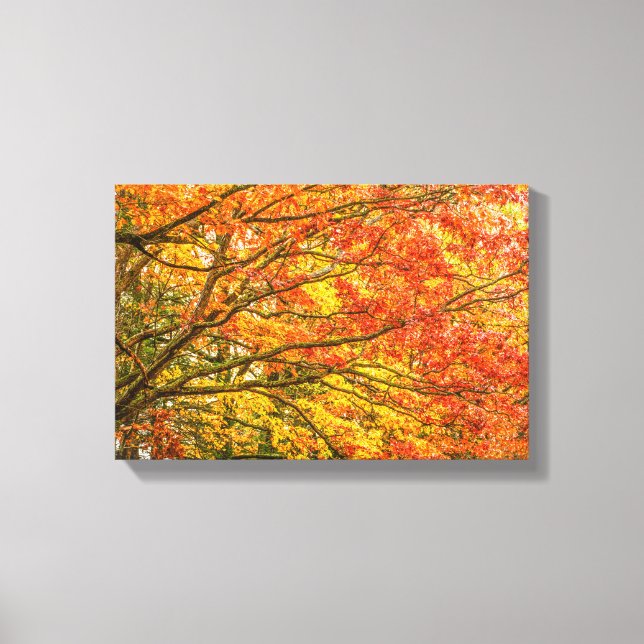 Letchworth Träd Grenar Orange Nature Canvas Prin (Framsida)