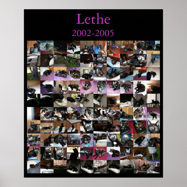 Lethe Poster (Framsidan)