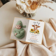 Let's Party Till the Cows Come Home 2nd Birthday