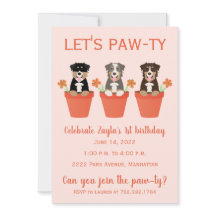 Lets Pawty Australian shepherd Hundar