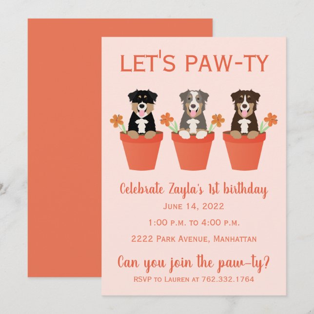Lets Pawty Australian shepherd Hundar Inbjudningar (Fram/baksida)