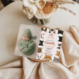 Let's Pawty Cat 5th Birthday | photo Birthday Kid Inbjudningar