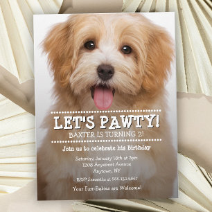 Let's Pawty Pet Photo Birthday Party Vykort