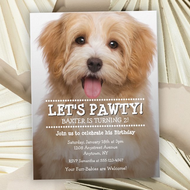 Let's Pawty Pet Photo Birthday Party Vykort (Skapare uppladdad)