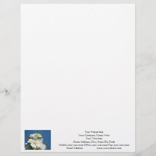 Letterhead Cherry Blommar Blå himmel anpassningsba Brevhuvud