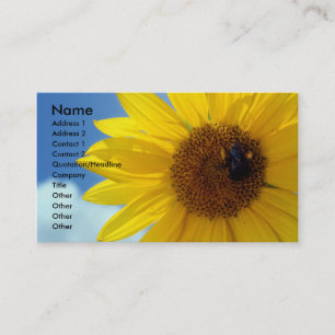 letthesunshinen namn, adress 1, adress 2, lurar… visitkort