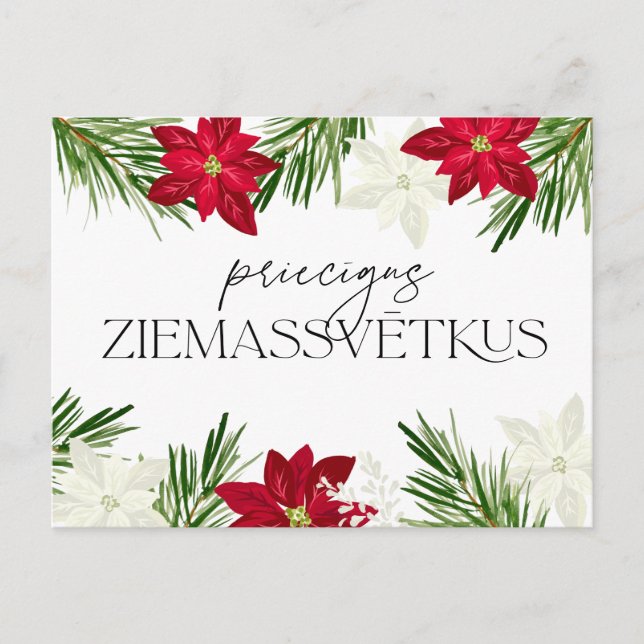 Lettisk jul Red Poinsettia Ziemassvetki Vykort (Framsida)