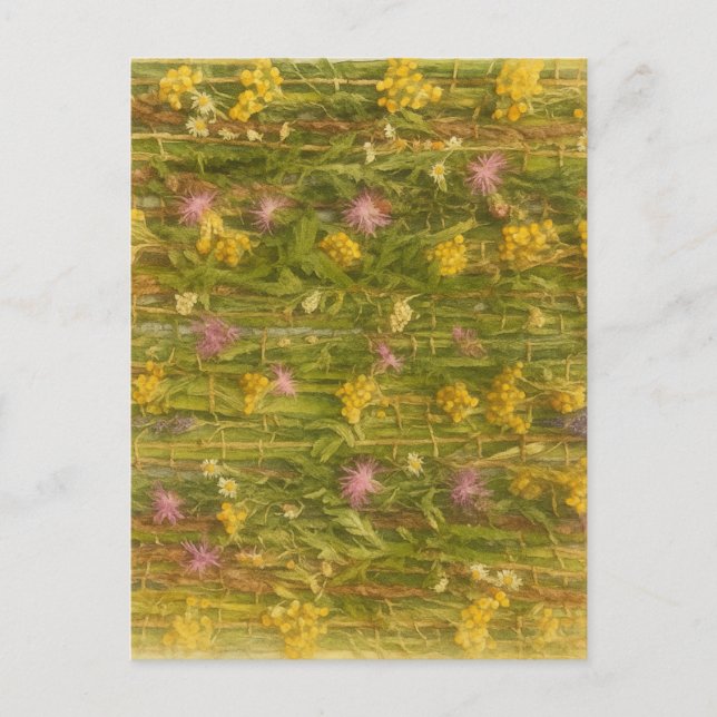 Lettiska Wildblommor - naturområden konserverade Vykort (Framsida)