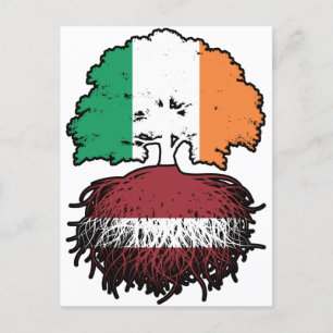 Lettland Latinska Irish Ireland Träd Roots Flagga Vykort