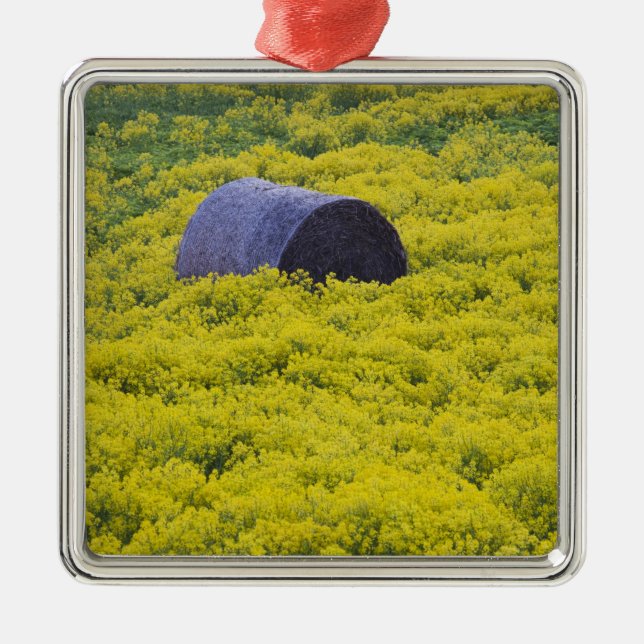 Lettland, nordöstra Lettland, Vidzeme-regionen, 2 Julgransprydnad Metall (Framsidan)