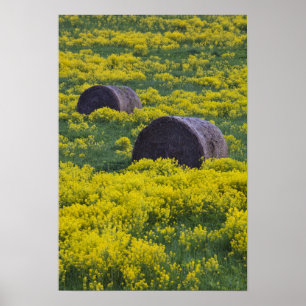 Lettland, nordöstra Lettland, Vidzeme-regionen, Poster