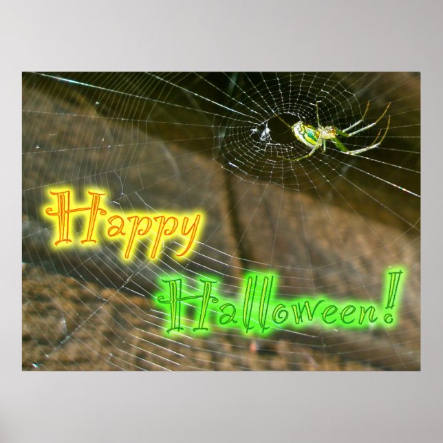 Leucauge Orb Weaver Halloween Poster (Framsidan)