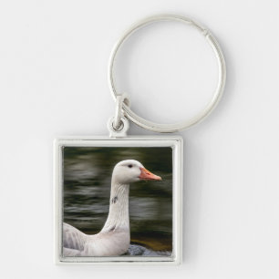 Leucistic Canadian Goose Fyrkantig Silverfärgad Nyckelring