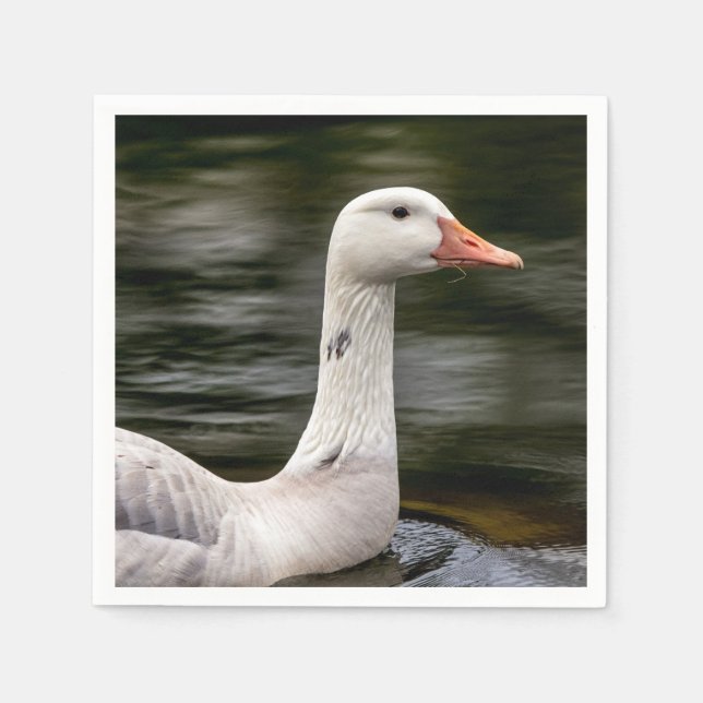 Leucistic Canadian Goose Pappersservett (Framsidan)
