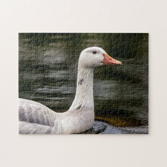 Leucistic Canadian Goose Pussel (Horisontell)