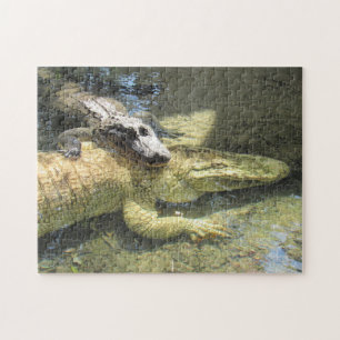 Leucistisk Gator och Friend Puzzle Pussel