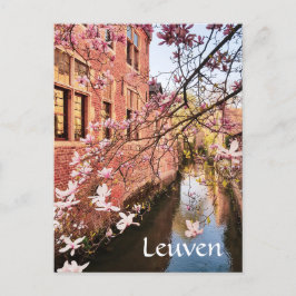 Leuven Belgium-resefotovykort Vykort