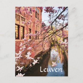 Leuven Belgium-resefotovykort Vykort