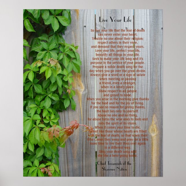 Lev ditt liv, Chief Tecumseh Poster (Framsidan)