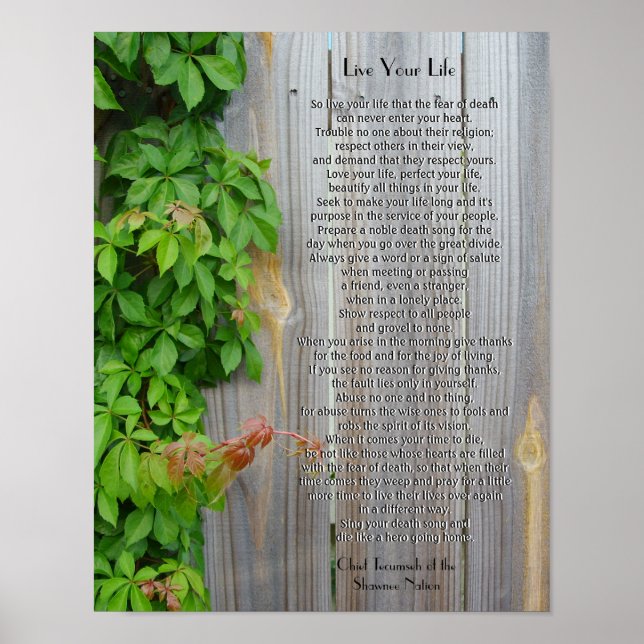 Lev ditt liv, Chief Tecumseh Poster (Framsidan)