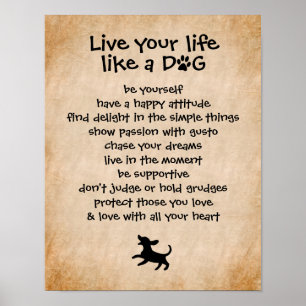 Lev ditt liv.. Hund Poster