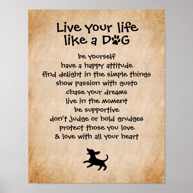 Lev ditt liv.. Hund Poster (Framsidan)
