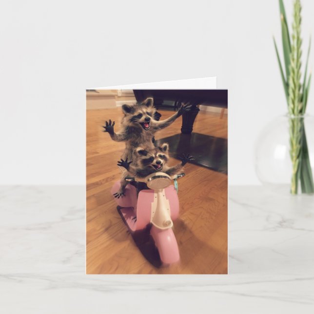 LEV DREAM. KORT (Framsida)