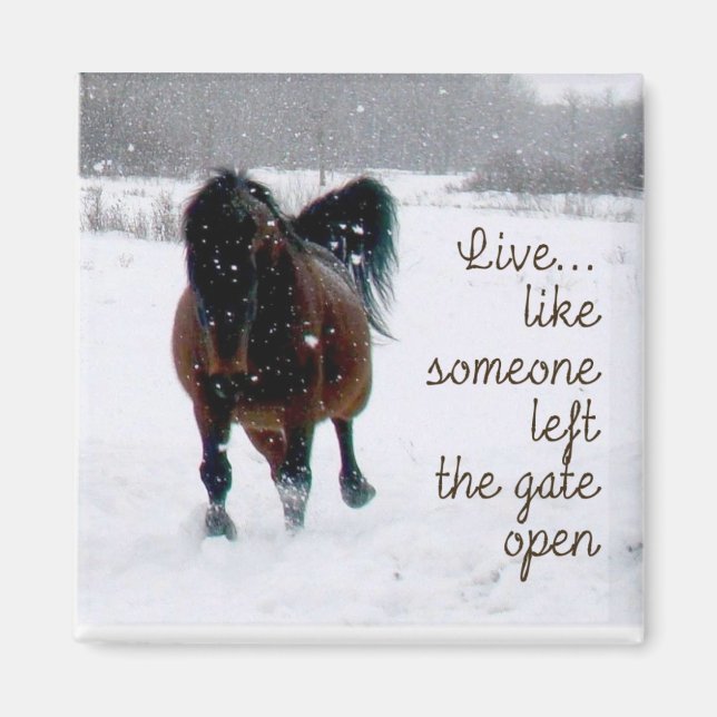 Lev livet! magnet (Framsidan)