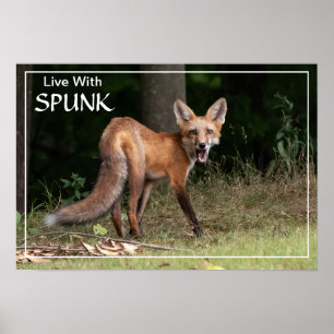 Lev med SPUNK Poster