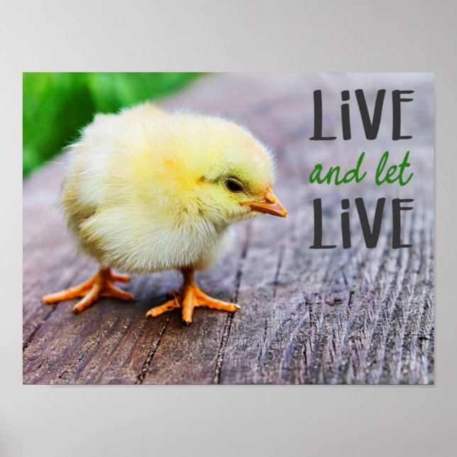 "Lev och låt leva" med chick av söt gult vegan Poster (Framsidan)