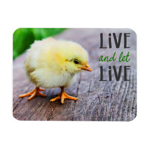 "Lev och låt leva" vegan Magnet
