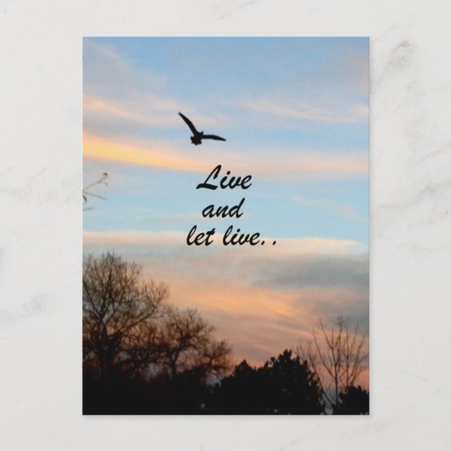 Lev och låt leva vykort (Framsida)