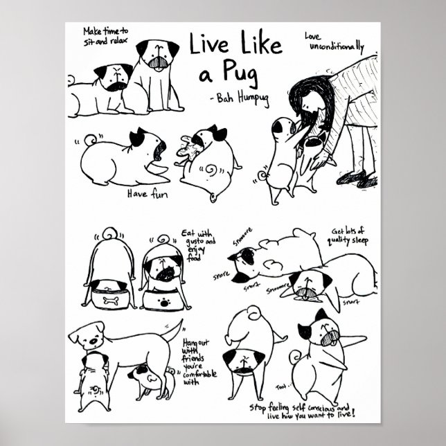 Lev som en pug! poster (Framsidan)