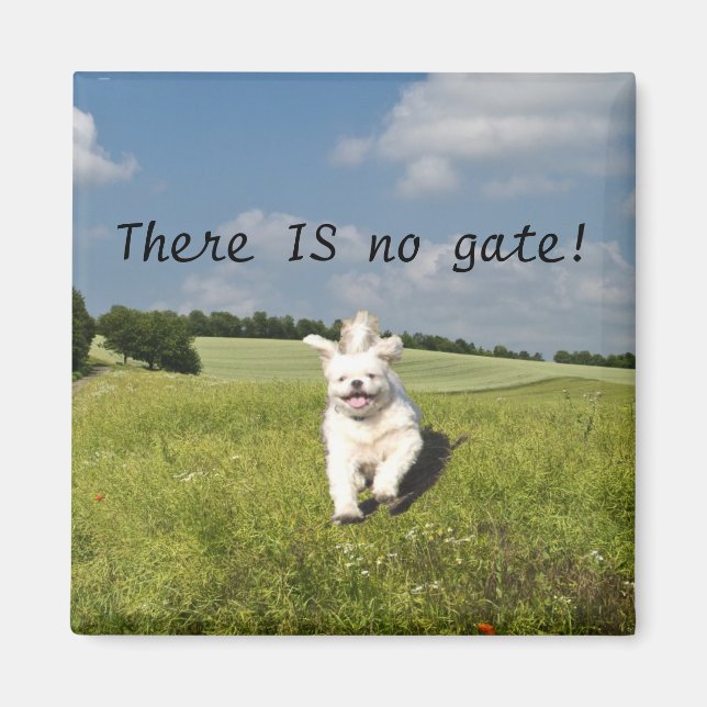 "Lev som.." Magnet - Buddhist-version (matris)! (Framsidan)