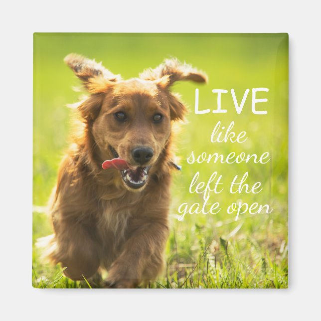 "Lev som någon Lämnat Grind Open" Dachshund Magnet (Framsidan)