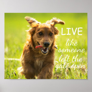 "Lev som någon Lämnat Grind Open" Dachshund Poster