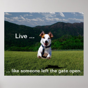 Lev som någon Lämnat Grind Open Poster