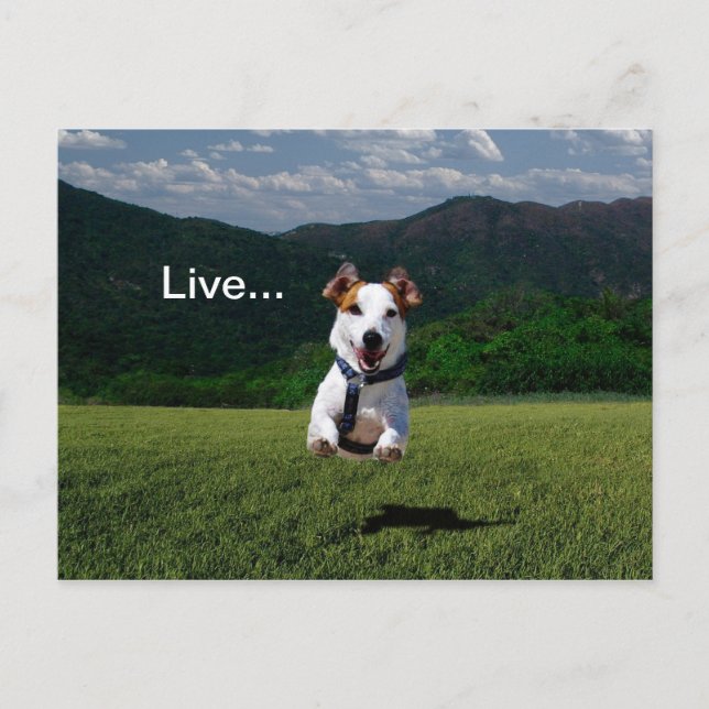 "Lev som någon Lämnat Grind Open" vykort 2 (Framsida)