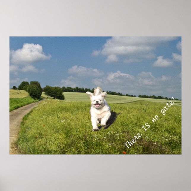 "Lev som.." Poster - Buddhist-version (Matrix)! (Framsidan)