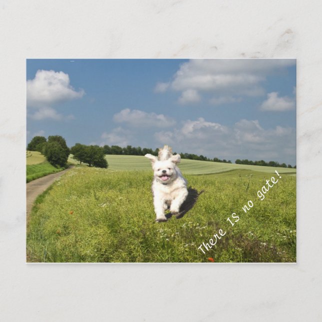 "Lev som.." Postkortets buddhist-version (Matrix)! Vykort (Framsida)