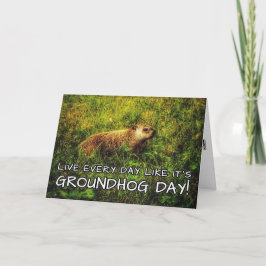 Lev varje dag som det är Groundhog Day! Kort