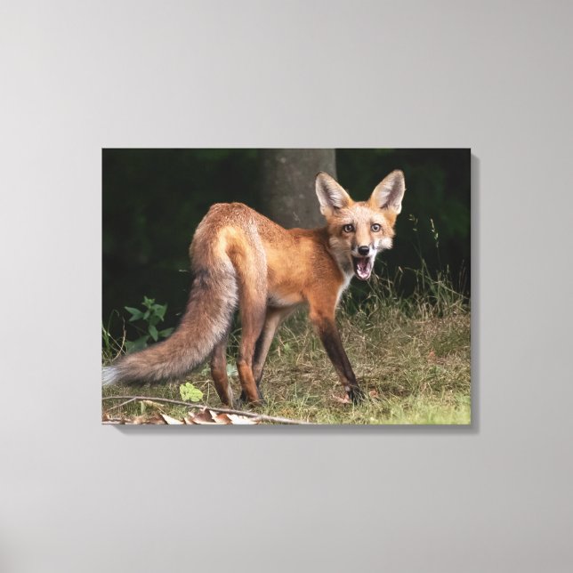 Leva med ande canvastryck (Framsida)