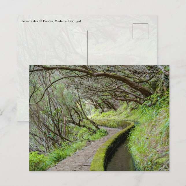 Levada das 25 Fontes Madeira Postcard Vykort (Fram/baksida)