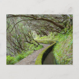 Levada das 25 Fontes Madeira Postcard Vykort
