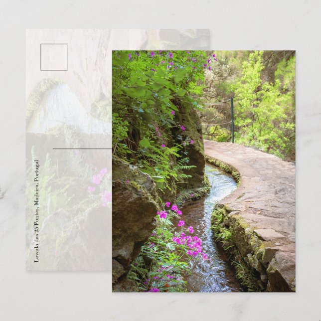 Levada das 25 Fontes Madeira Postcard Vykort (Fram/baksida)