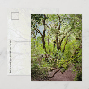 Levada das 25 Fontes Madeira Resor och natur Vykort