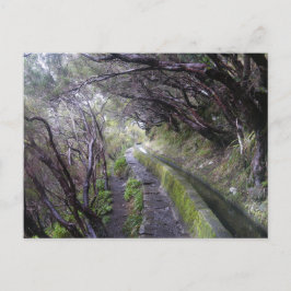 Levadas i Madeira, Portugal Vykort