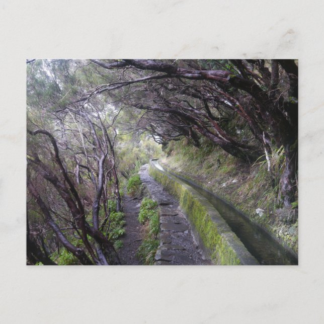 Levadas i Madeira, Portugal Vykort (Framsida)