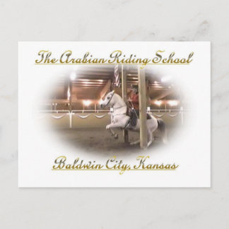 Levade med ryttare, vykort