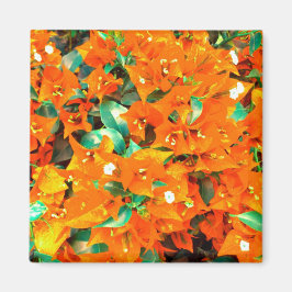 Levande apelsinblommor av bougainvillea magnet